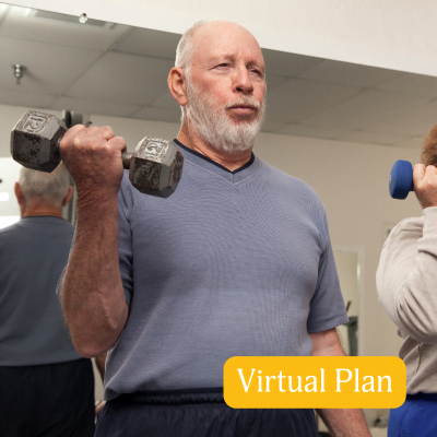 Health Restoration Virtual
