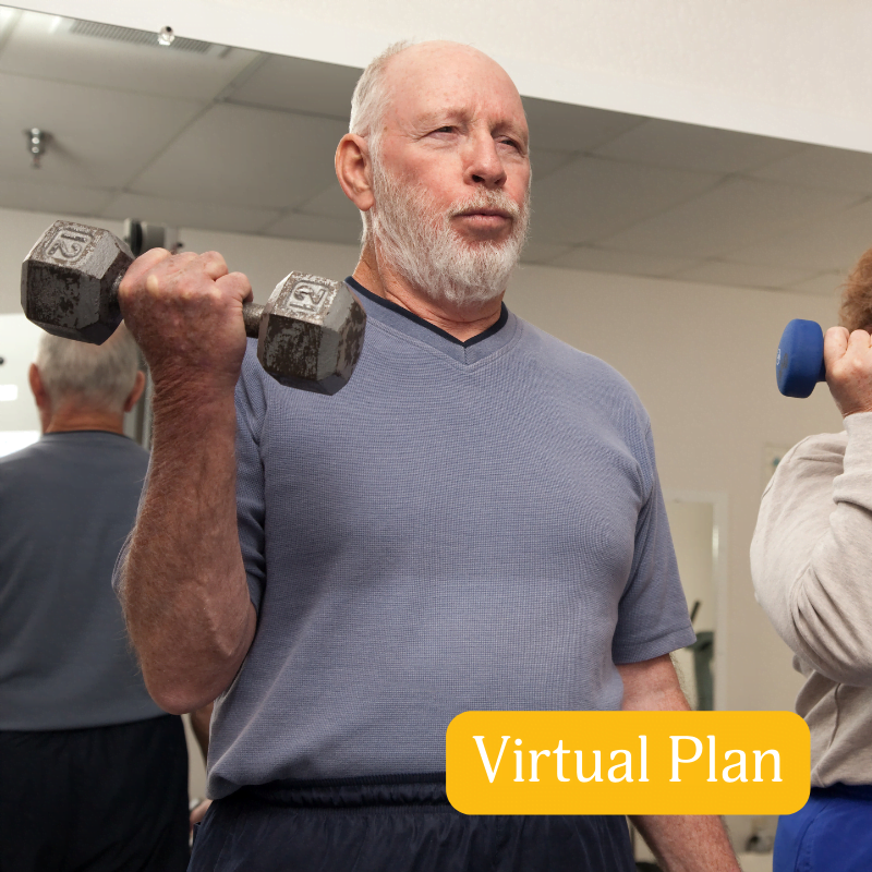 Health Restoration Virtual